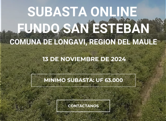 Subasta Online Fundo San Esteban