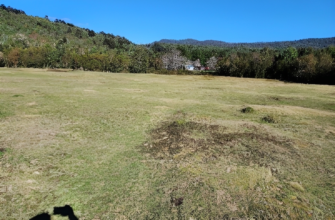 Fundo El Pangal, Comuna Puerto Montt, Región de Los Lagos
